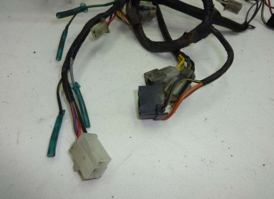 Wire Harness Kawasaki GPZ 500