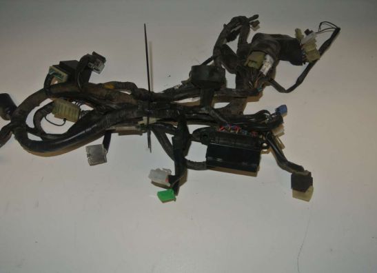 Kabelboom Yamaha TDM
