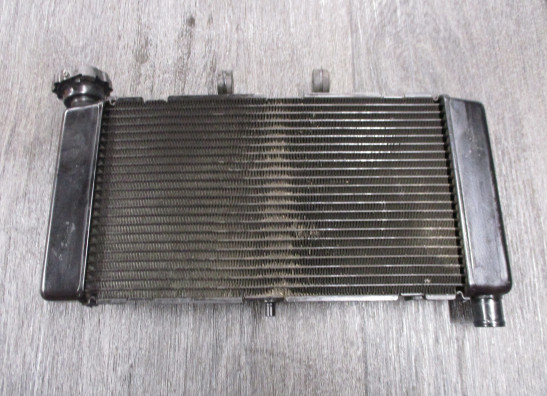 Radiator Honda NC 750 X