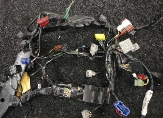 Kabelbaum Honda CBR Fireblade