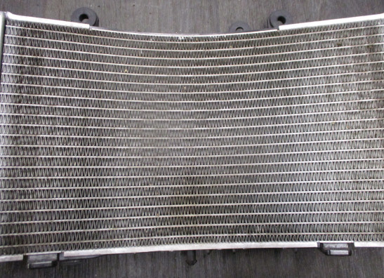 Kuhler BMW F 850 GS Adventure