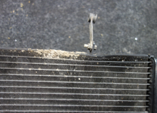 Radiateur Triumph Tiger 800 xc