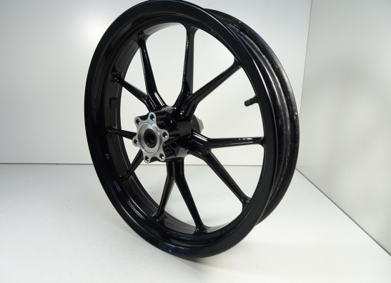 Voorvelg KTM 125 Duke