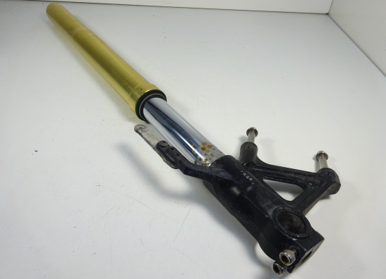Front Fork right complete Triumph Tiger 1050