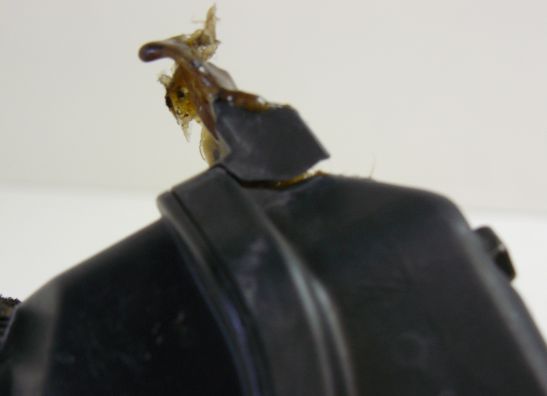 Koplamp Honda CBR 600 RR