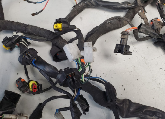 Kabelbaum Aprilia Tuono 1000