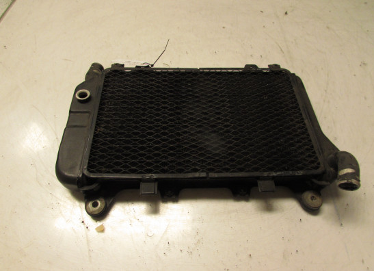 Kuhler Kawasaki ZZR 600