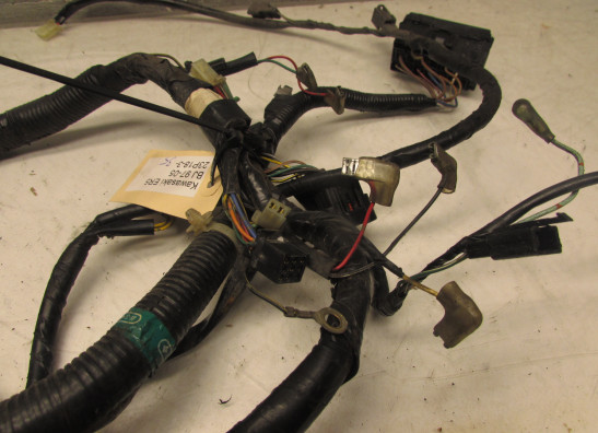 Wire Harness Kawasaki ER 5