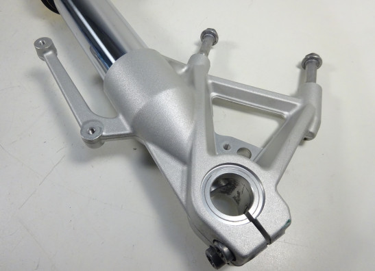 Voorpoot links compleet BMW R 1200 R