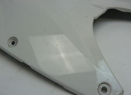 Tankschutz BMW S 1000 RR