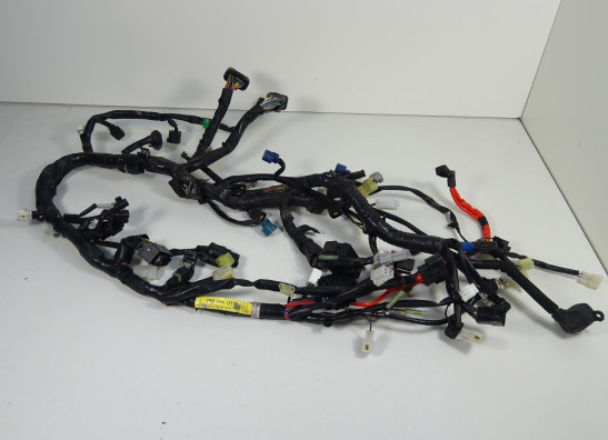 Wire Harness Yamaha MT 09