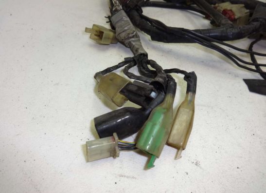 Kabelboom Honda PC 800