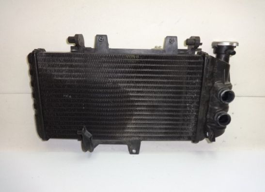 Radiateur BMW F 800 S - ST