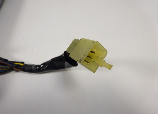 Rucklicht Yamaha FJR 1300