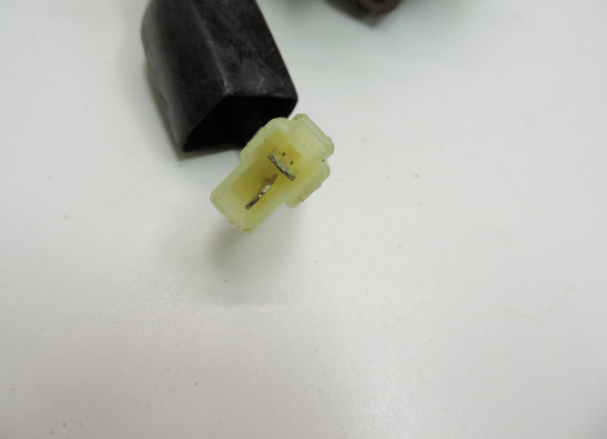 Dynamo Kawasaki ZZR 1100