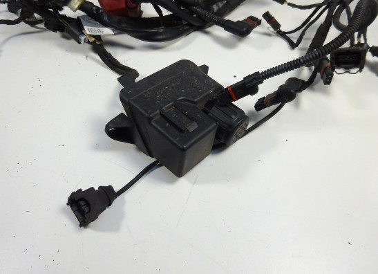 Kabelboom BMW R 1200 ST