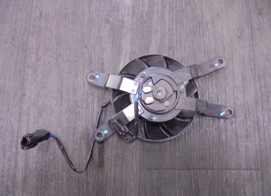 Ventilator Triumph Trident 660