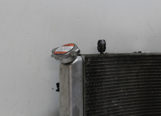 Radiator Suzuki GSX R 1000