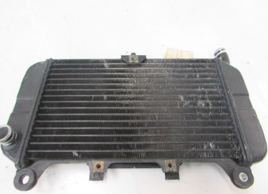 Kuhler Kawasaki ZZR 600