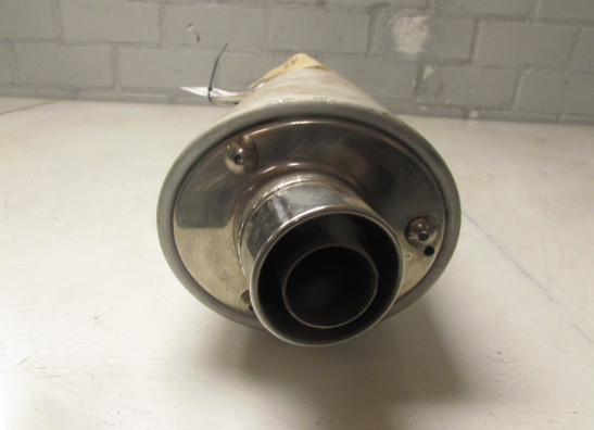 Auspuff Suzuki SV 1000