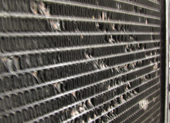 Kuhler Honda Goldwing GL