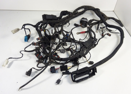 Wire Harness BMW K 1200 S 