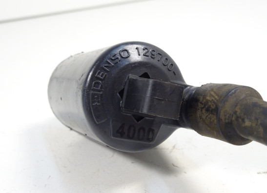 Bobine Ducati monster 600