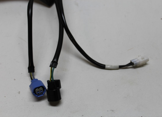 Kentekenplaathouder Kawasaki Z 900