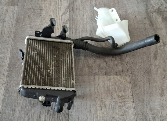Radiador BMW R 1200 GS LC
