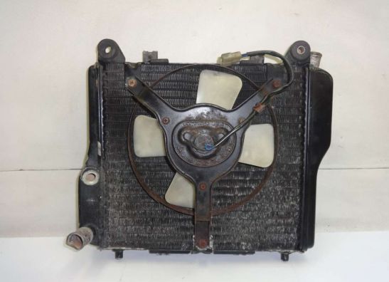 Kuhler Kawasaki GTR 1000