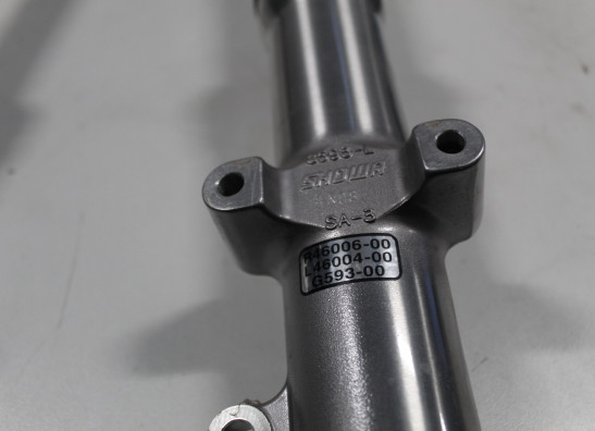 Voorpoten Harley Davidson Softtail