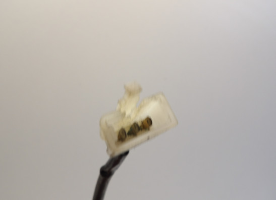 Knipperlicht rechts voor Honda CBF 1000