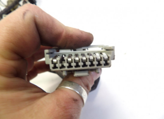 Kabelboom Honda CBR 600 F