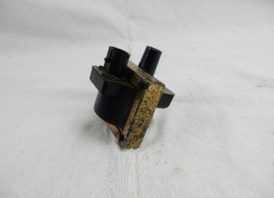 Bobine Moto Guzzi 1100 Sport