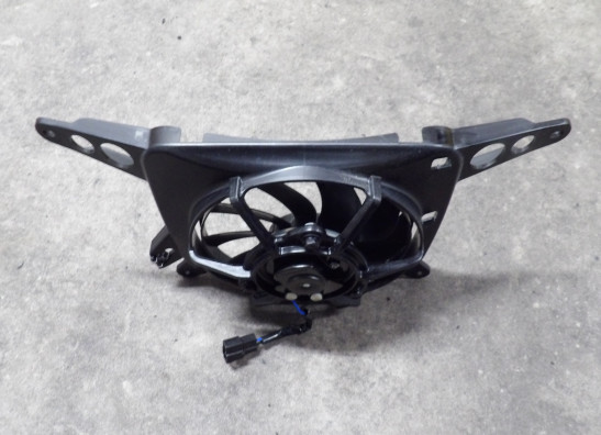 Ventilator Triumph Street Triple 765 RS