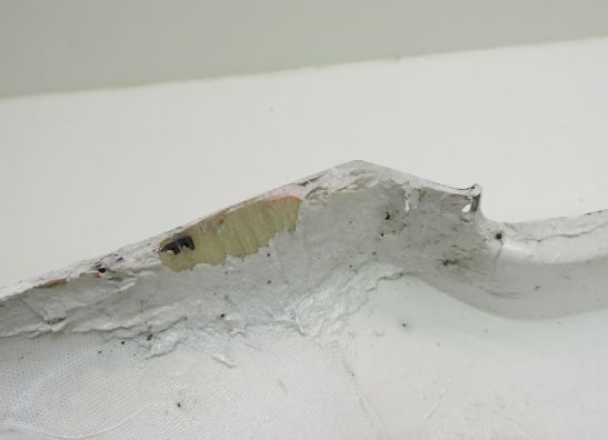 Linker achterkant Honda CBR 600 F