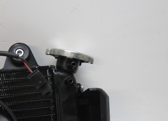 Radiator Yamaha MT 03