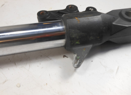 Front Fork left complete Kawasaki VERSYS 650