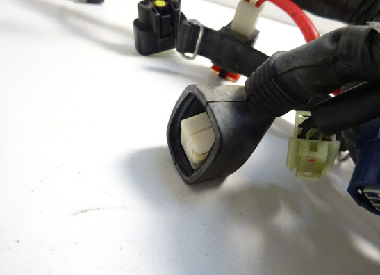 Kabelbaum Yamaha FZ1