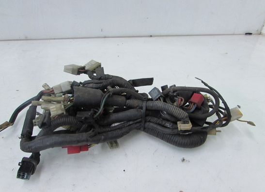 Kabelboom Honda VT 500