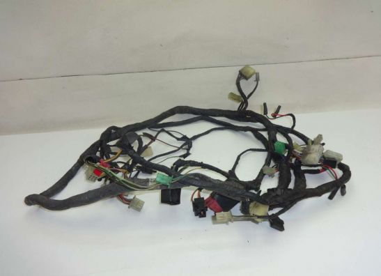 Wire Harness Kawasaki ZZR 1100