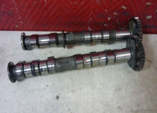 Nokkenas Yamaha TDM