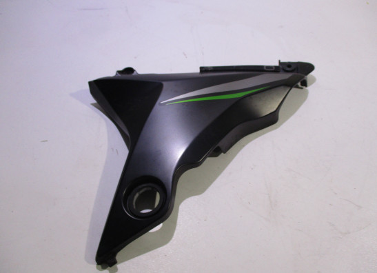 Verkleidungsteil Kawasaki Z 800