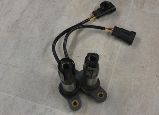 Bobine Aprilia Shiver 900