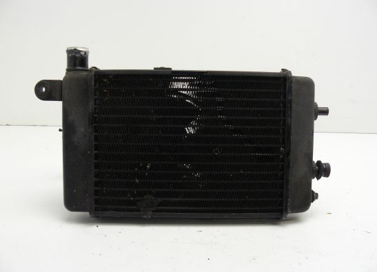 Radiateur Aprilia RSV 1000