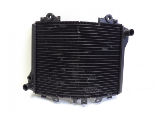 Kuhler Kawasaki ZZR 1100