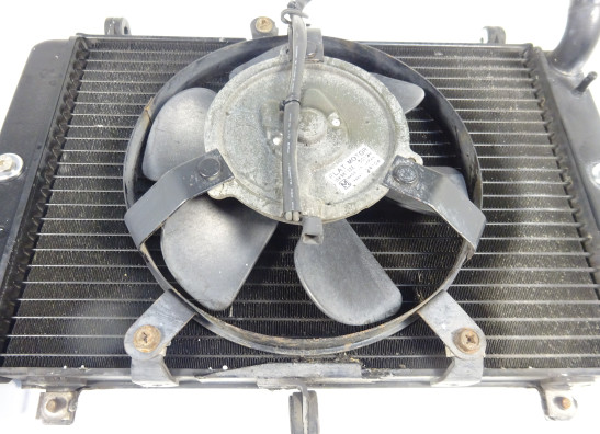 Radiator Yamaha FAZER 1000