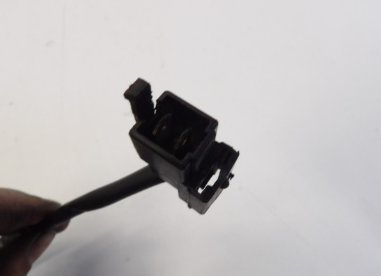 Fan Suzuki DL 1000 V STROM