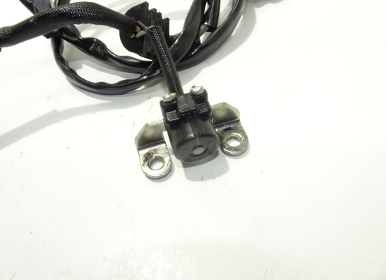 Lichtmaschine Yamaha MT 09