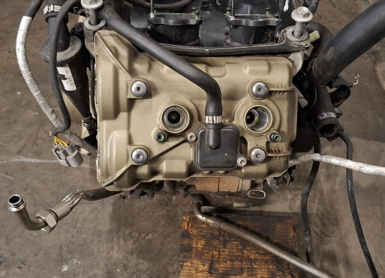 Motorblok Ducati Multistrada V4